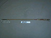 藏品(單鏃著羽箭)的圖片